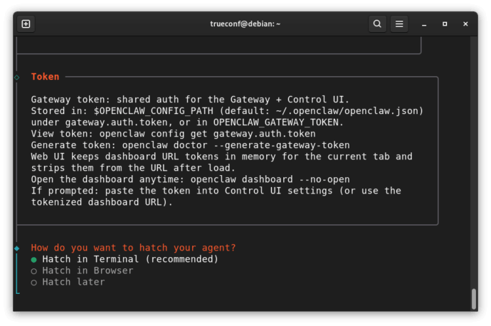 How to use TrueСonf bots with the OpenClaw AI agent 19