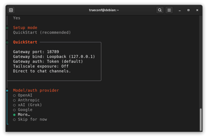 How to use TrueСonf bots with the OpenClaw AI agent 14